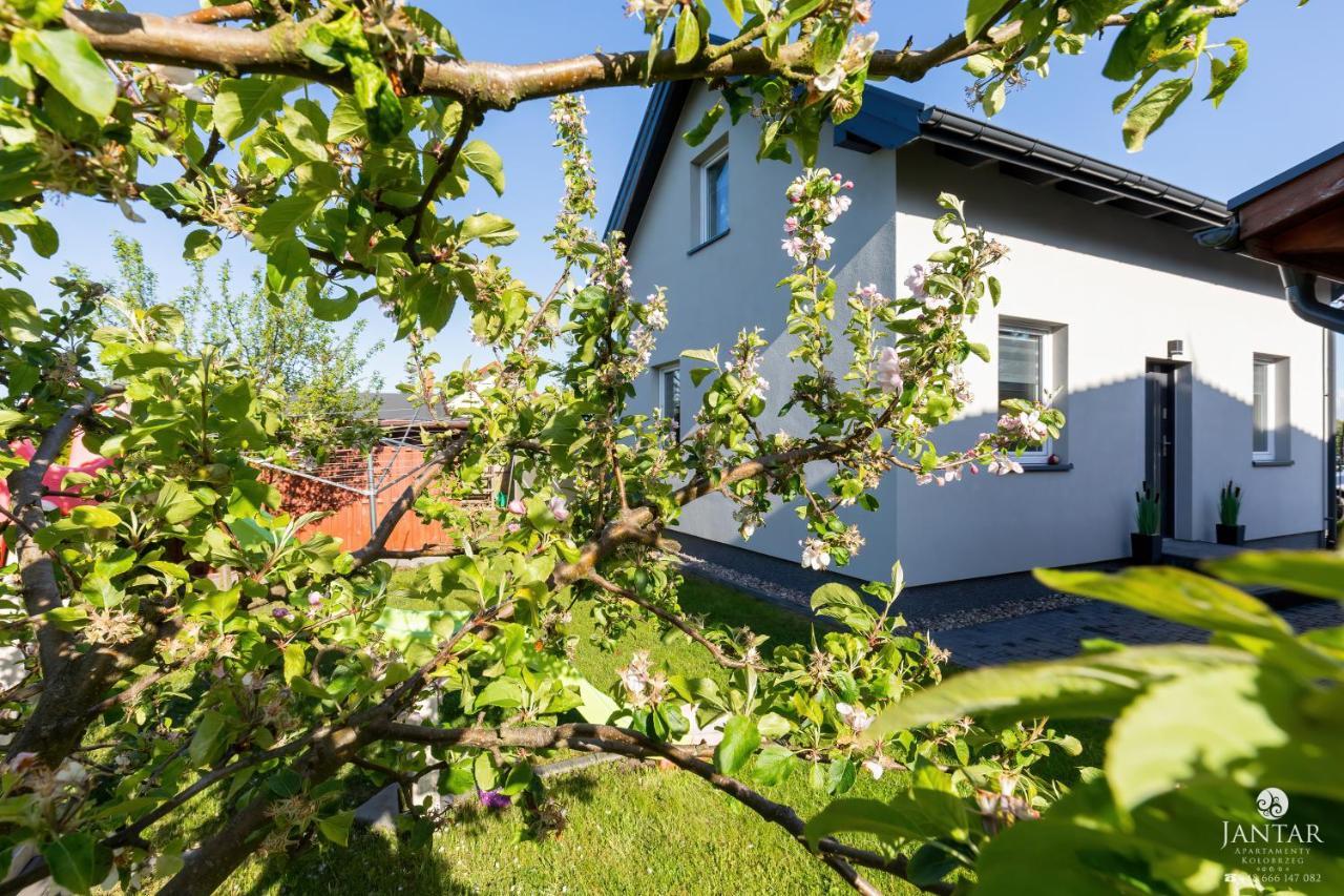 Jantar Apartamenty - Casa Francesco Grzybowo  Bagian luar foto
